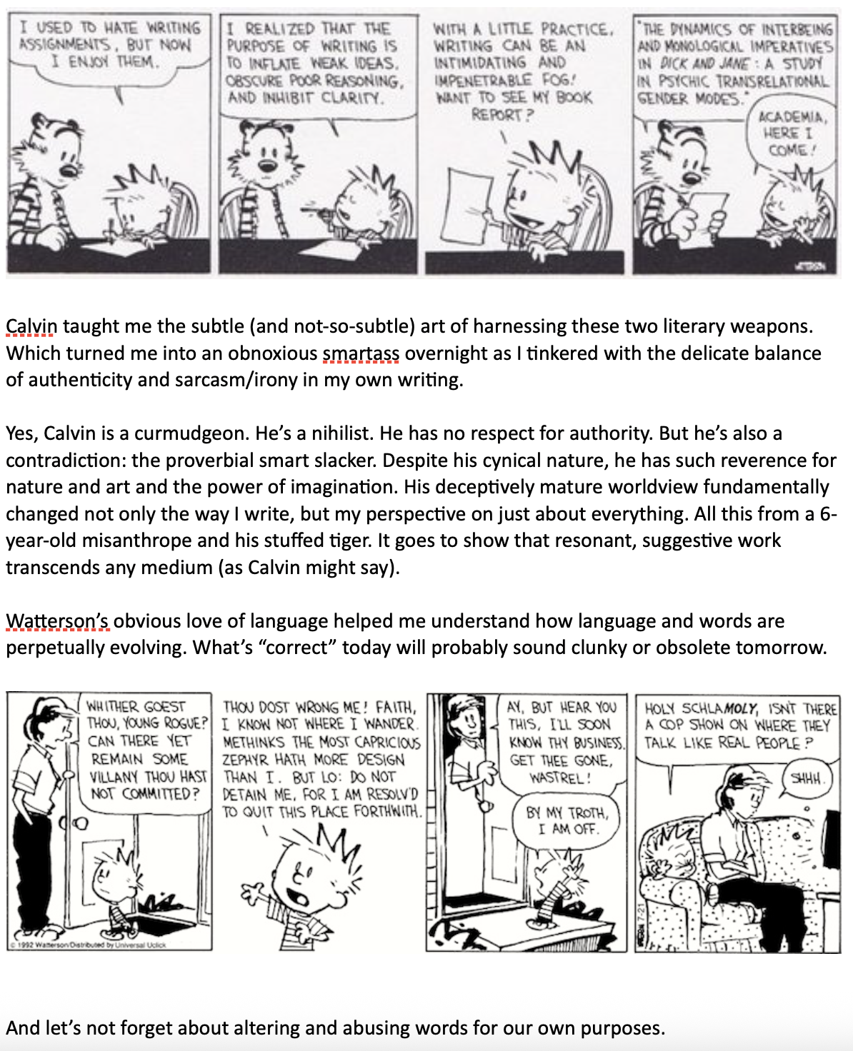 Calvin and Hobbes Blog Part 2